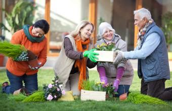 games for old people|28 Engaging Games for Seniors to Promote Mental and Social.